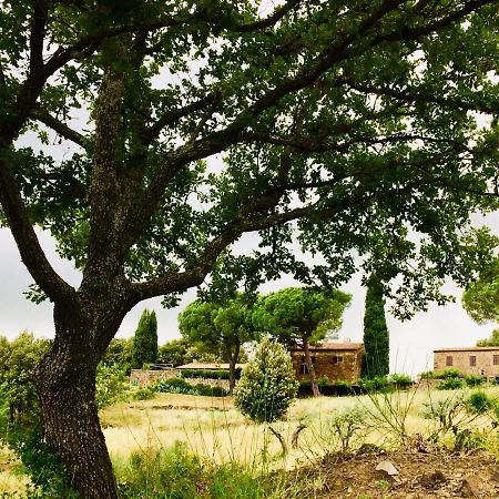 Villa Nocini Di Maremma à Tatti Extérieur photo