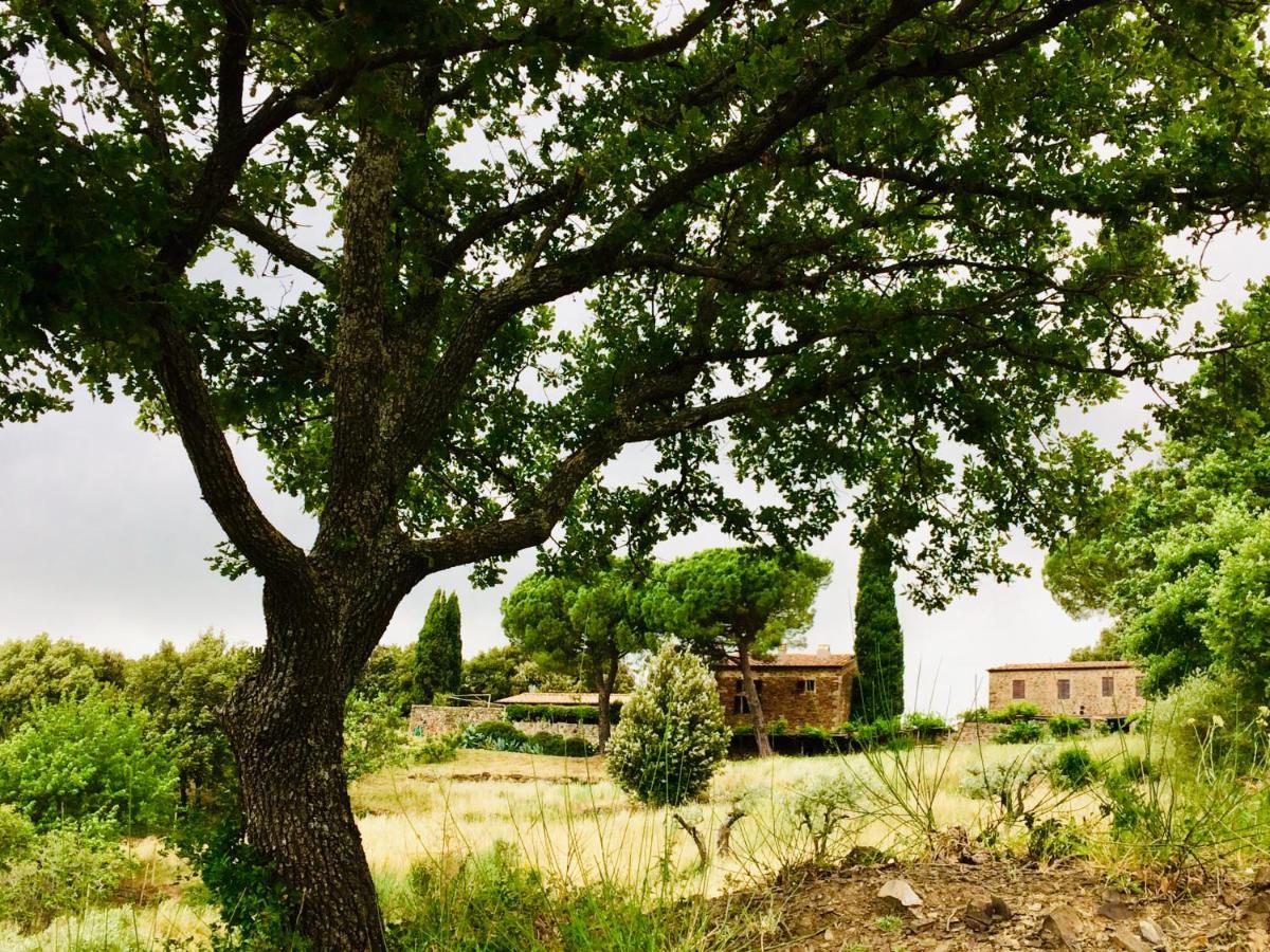 Villa Nocini Di Maremma à Tatti Extérieur photo
