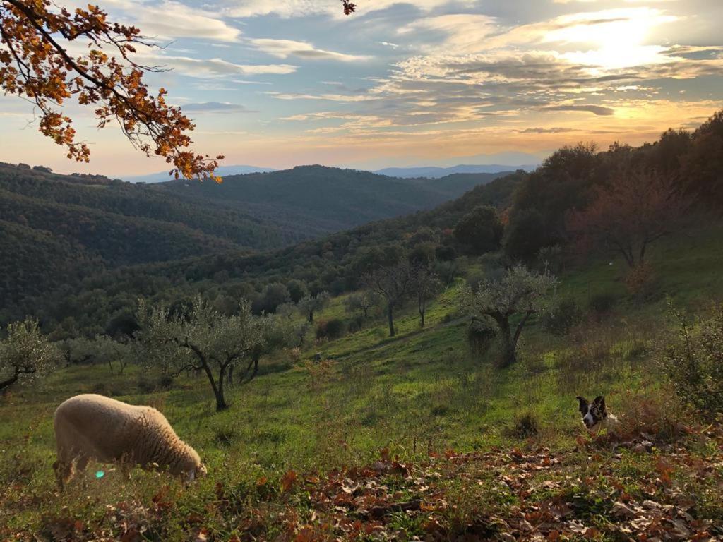 Villa Nocini Di Maremma à Tatti Extérieur photo