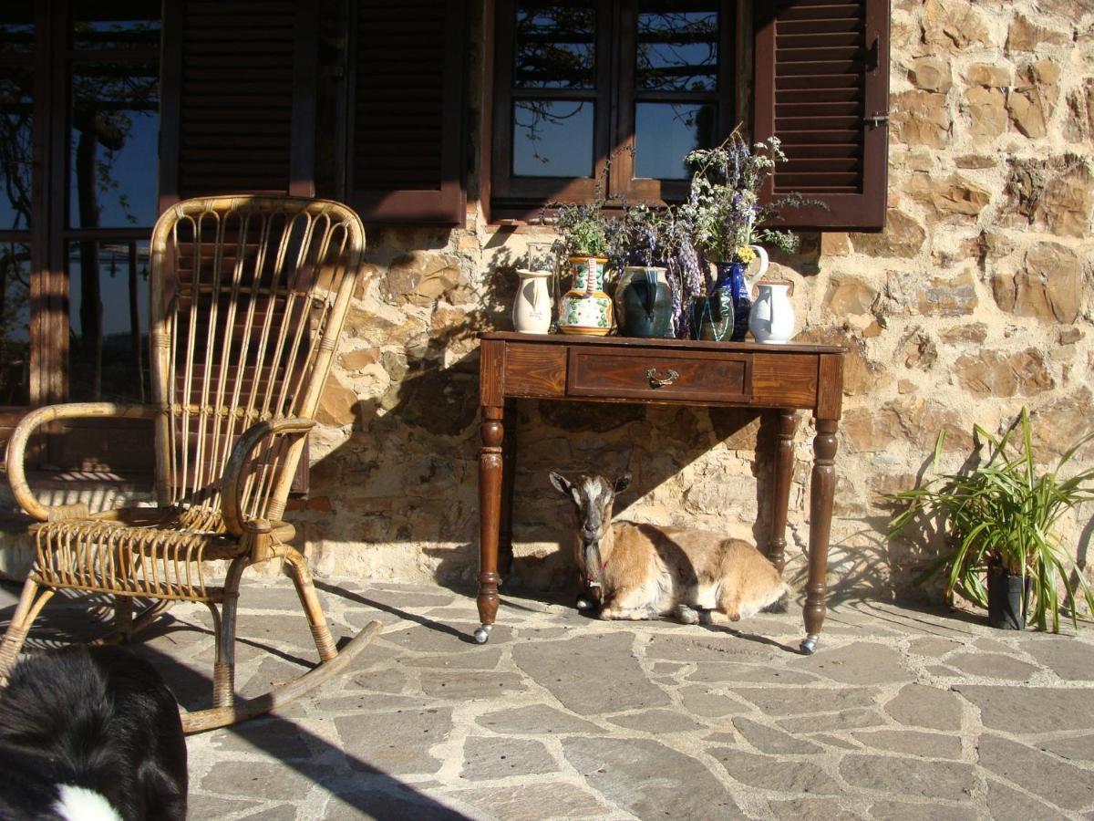 Villa Nocini Di Maremma à Tatti Extérieur photo