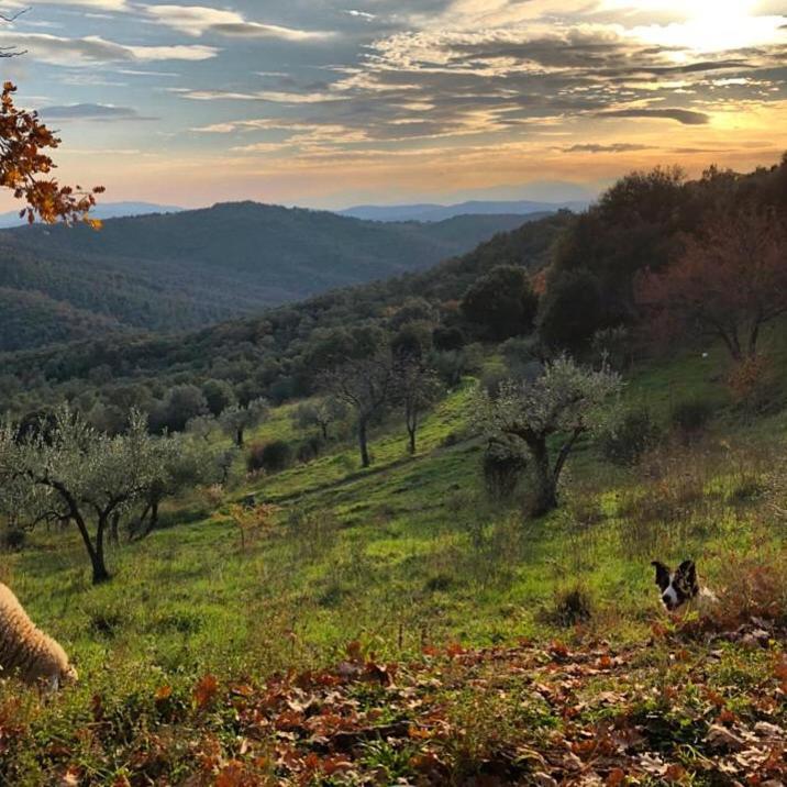Villa Nocini Di Maremma à Tatti Extérieur photo