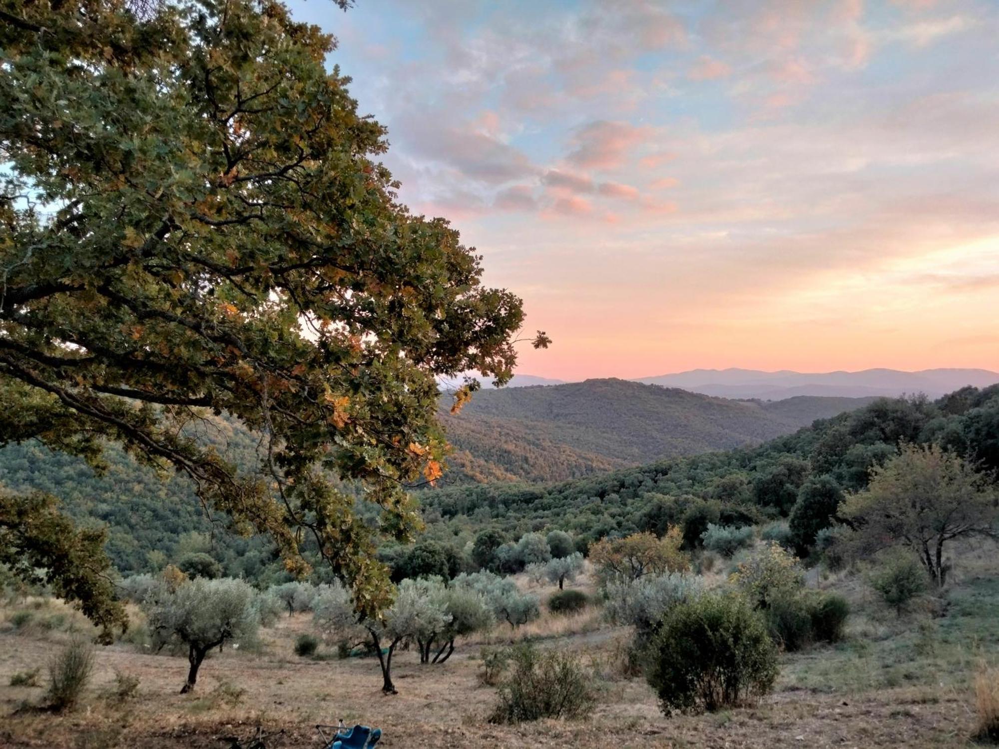 Villa Nocini Di Maremma à Tatti Extérieur photo