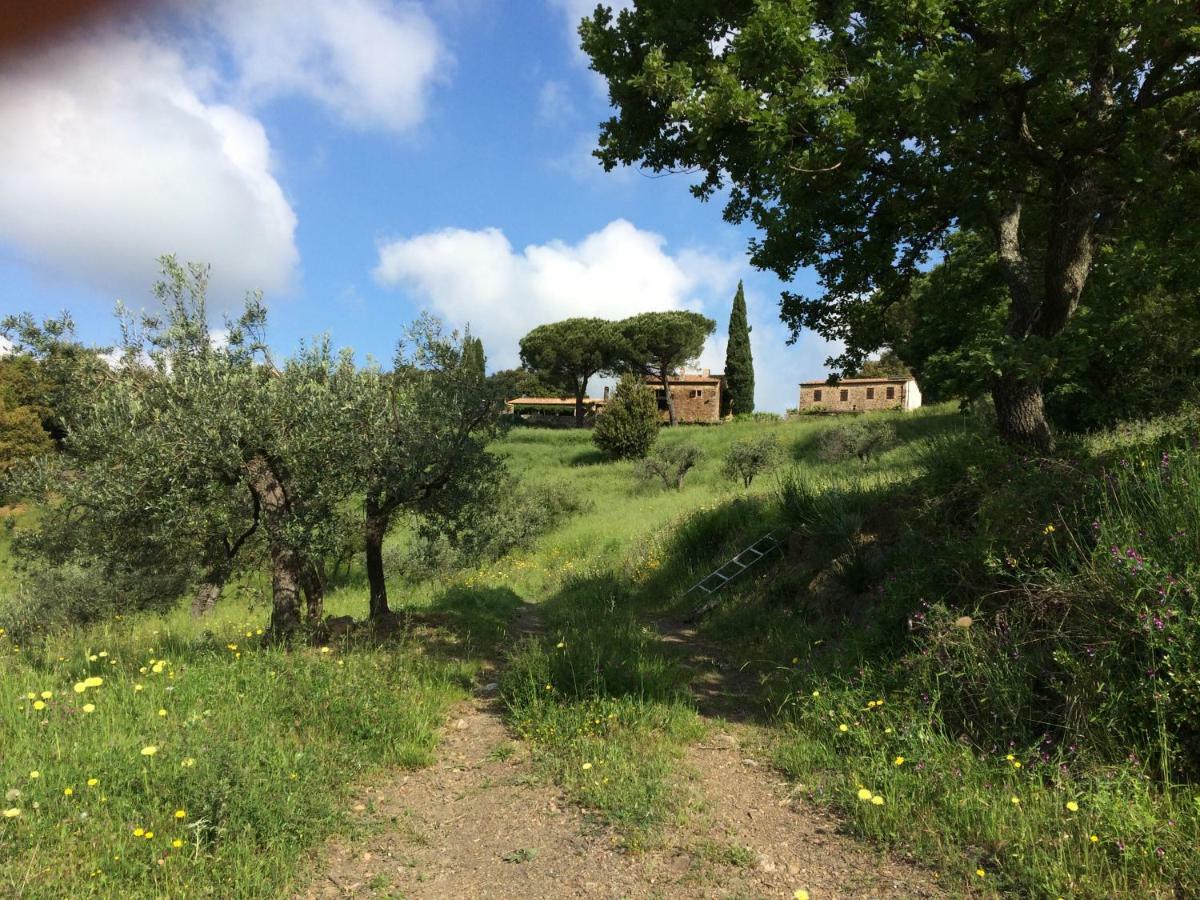 Villa Nocini Di Maremma à Tatti Extérieur photo